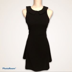 Romeo & Juliet Couture Collar Black Dress